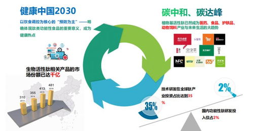 未来之星 专访食肽科技王立扬——破解肽领域难题，用AI革新肽食品