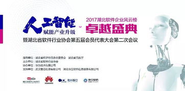 深度科技再获殊荣 荣膺湖北省“优秀软件产品”奖，信息技术咨询服务引领行业创新