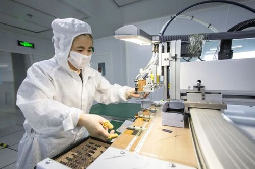 奋进在春光里 信息技术咨询服务赋能电子信息产业向海图强