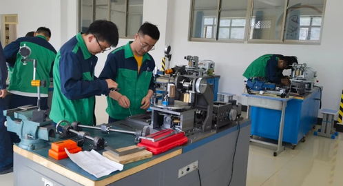 金川集团选矿厂 专业化塑培强技能 锻造过硬维保队伍