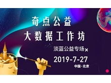 北京奇点公益信息技术服务中心的信息技术咨询服务